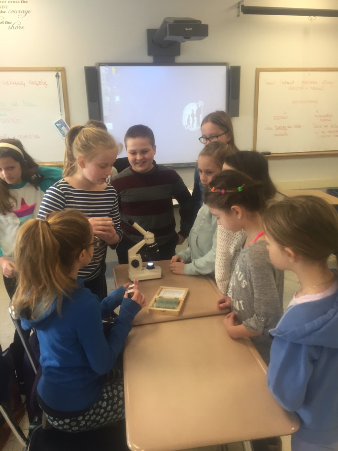 Przyroda „Jak obserwować preparat pod mikroskopem?”